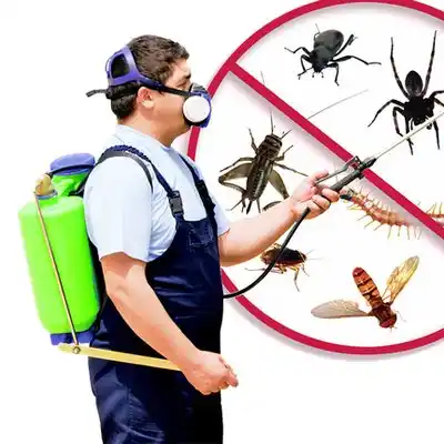 pest control Donaldsonville